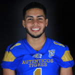 1 - DB JOSE ALFREDO ARRIAGA GUARDIOLA