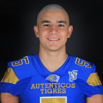 5 - DB EMILIO CASTILLON PALOMINO