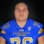 76 - DL LUIS DIEGO CASTILLEJA SANCHEZ